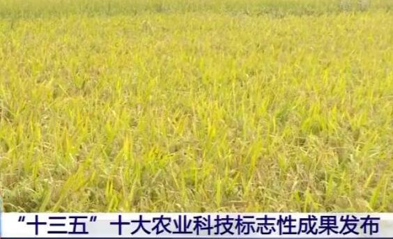 十項“十三五”農業科技標志性成果發布