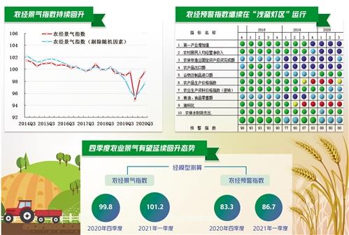農業經濟持續向好 農民收入增長穩定