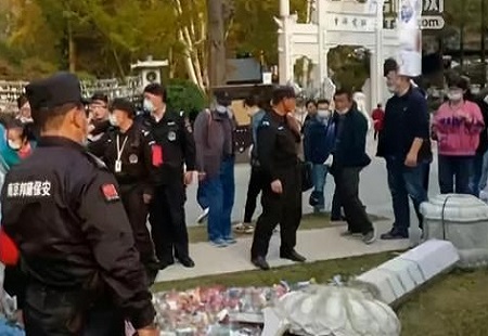 鎮江女游客被南京棲霞山石柱砸成骨折！景區：建議走法律途徑