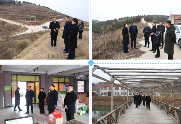 國家發改委國際合作中心到泉莊鎮考察生態農業建設情況