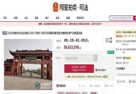 太突然！江蘇一知名企業房產被拍賣