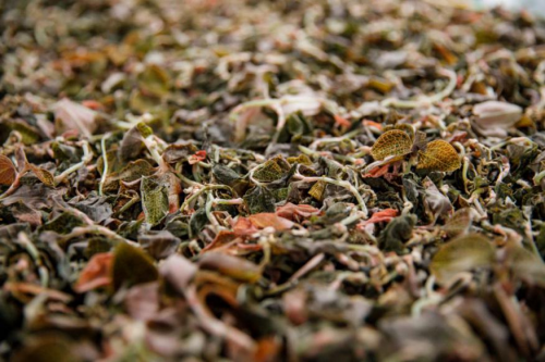 20201201165255990.png 3.png