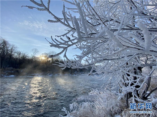 20201202153007511.jpg 2.jpg