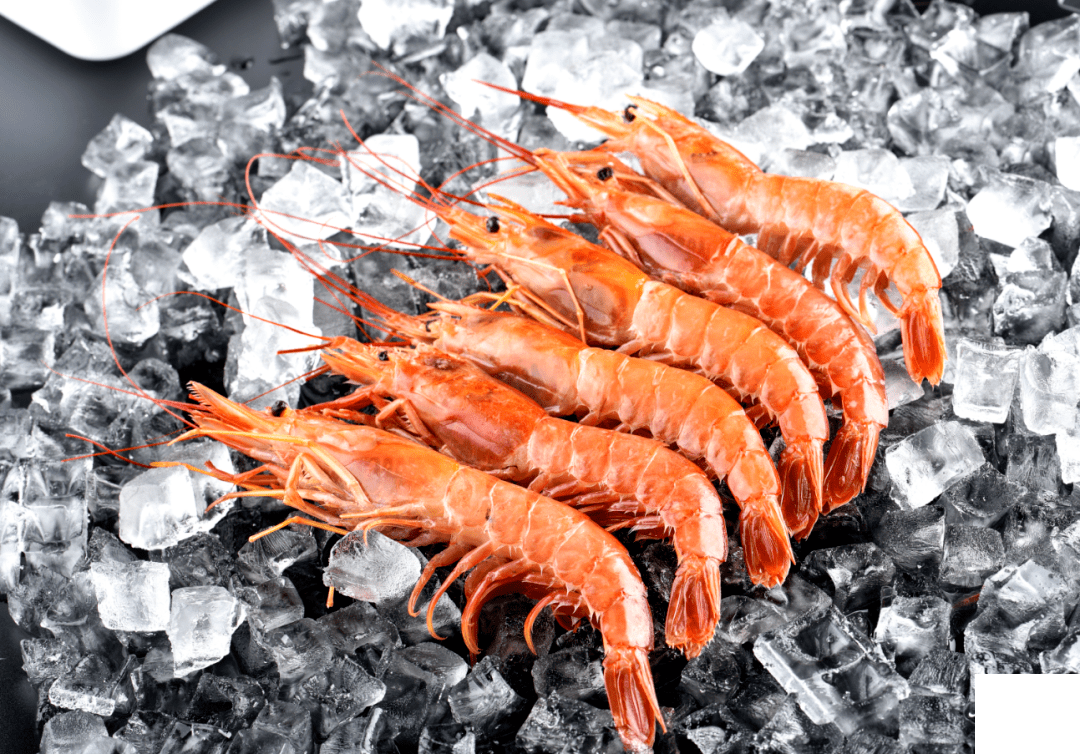 全國進口冷鏈食品追溯管理平臺上線運行