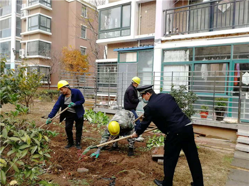 青島市城市管理局集中開展綠化執法冬季攻勢行動