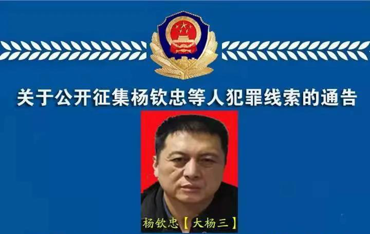 關于公開征集楊欽忠等人犯罪線索的通告