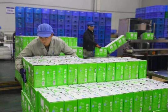 促進奶業實現全面振興