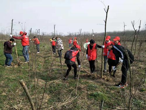 內蒙古：40余年3.99億人次義務植樹20.38億株