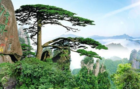 創新型文化和旅游強省建設蹄疾步穩
