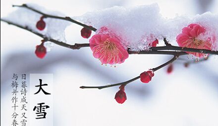 大雪節氣遇雪概率榜出爐 看看你離真正的大雪有多遠？