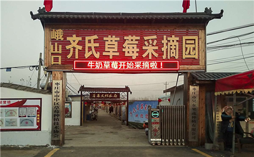 孟莊鎮峨山口齊氏草莓園扶貧大棚里的“紅娃娃”