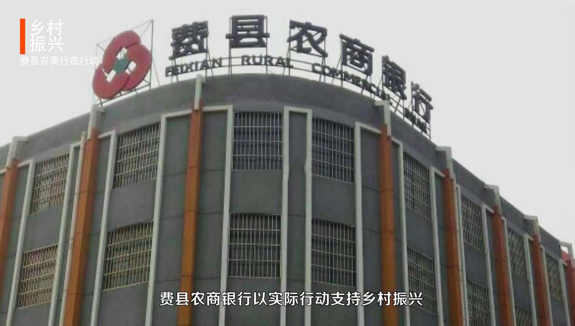 視頻 | 支持鄉村振興 費縣農商行在行動
