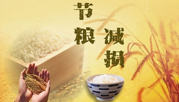 山東：五大舉措齊發力 節糧減損收效顯著