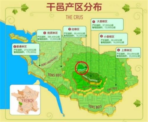 20201208162511410.jpg 2.jpg