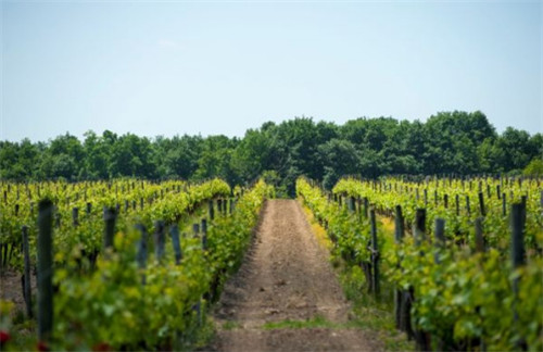 20201208162614900.jpg 3.jpg