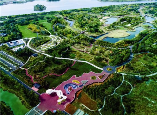 水更美 天更藍 草更綠——東營市全力建設富有活力的現代化濕地城市（下）