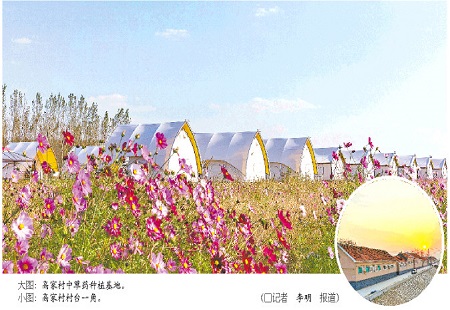 輝煌“十三五”|“一增一減”，山東灘區村奔上小康路