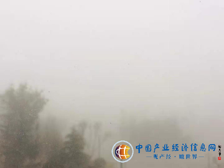 “霧”必注意 菏澤發布大霧紅色預警 出行注意交通安全