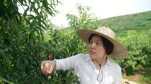 新時代沂蒙精神踐行者劉倩：20年匠心堅守的執著