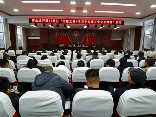 磨山鎮：壯大黨員隊伍，提升基層黨組織戰斗力