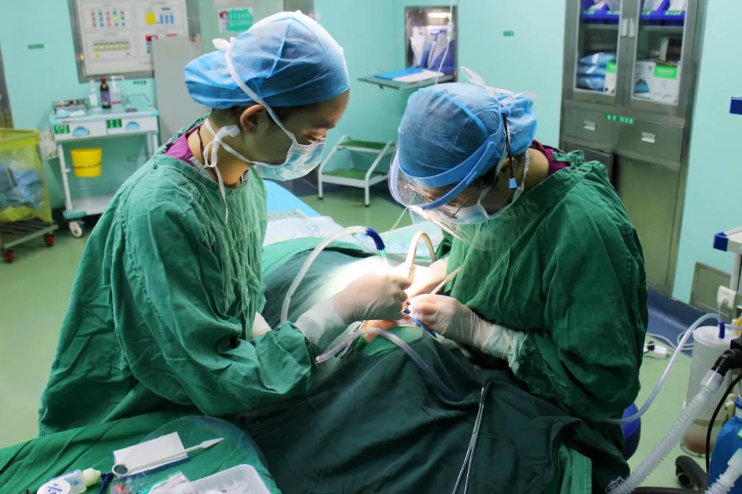 德州市人民醫院兒童牙病全麻下舒適化治療呵護兒童口腔健康