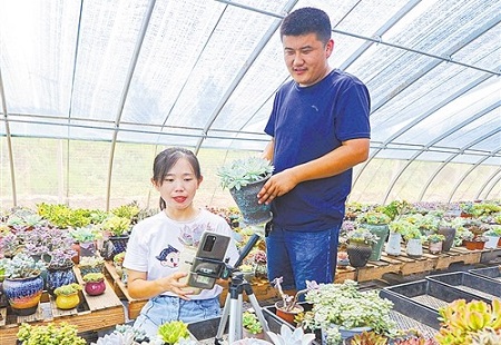 經濟日報頭版點贊德州鄉村振興探索！走出一條融合化之路