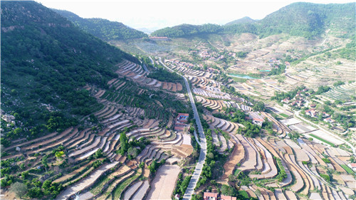 桃棵子村：“紅色旅游”引領村民走上致富路