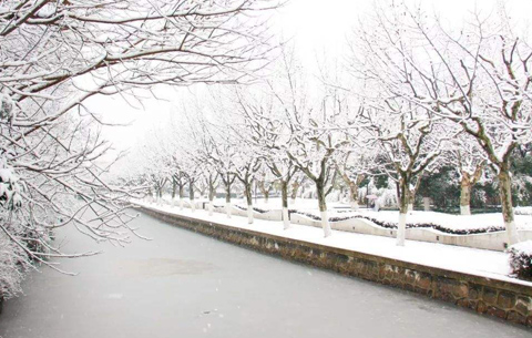 安徽省全力防范應對雨雪冰凍天氣 確保受災群眾“五有”
