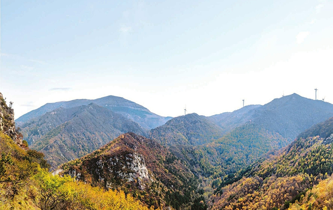 山西全年營造林400.8萬畝