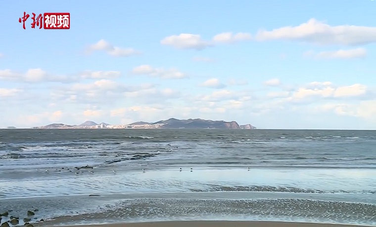 圍觀！山東蓬萊海域出現海滋奇觀
