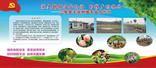 黨支部領辦合作社，鋪就“一村一品”致富路
