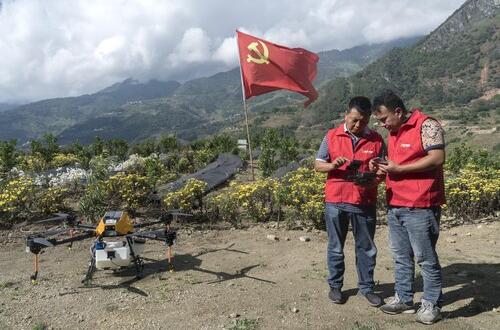 石頭山變身“花果山”，拼多多助力“三區三州”數字農業發展