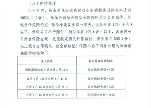 山東萊西：中國人保財險在受災小麥保險理賠上出現雙重標準