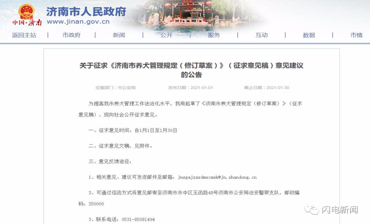 濟南擬出臺養犬新規：不清糞便罰五百、遺棄罰兩千