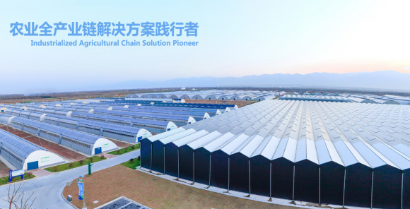 農業產業化發展還有多長的路要走？