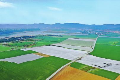 時隔20年 四川糧食產量再上700億斤