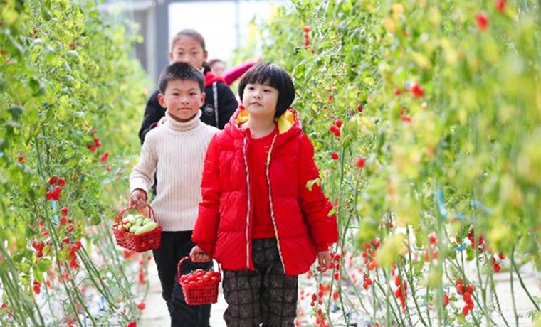 “節假日消費”寫入“十四五”規劃建議，意味著什么