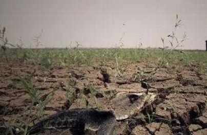 山西發布首個土壤污染防治地方標準
