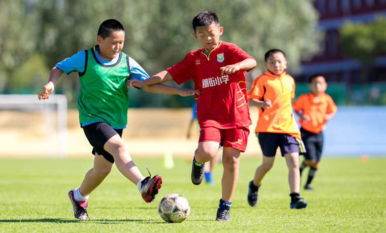 運動受傷誰擔責？你需要弄懂《民法典》“自甘冒險”條款