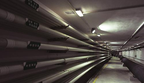 質量基礎設施如何為高質量發展助力？廣東這樣做