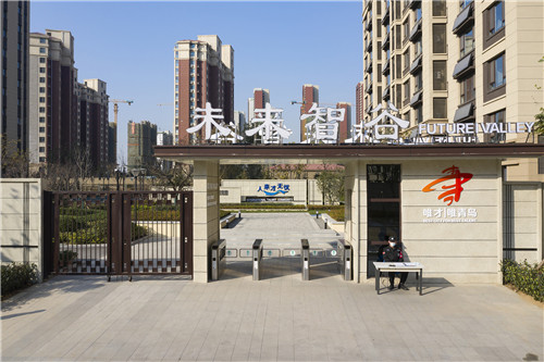 青島西海岸新區：念好“人才經” 下活“發展棋”