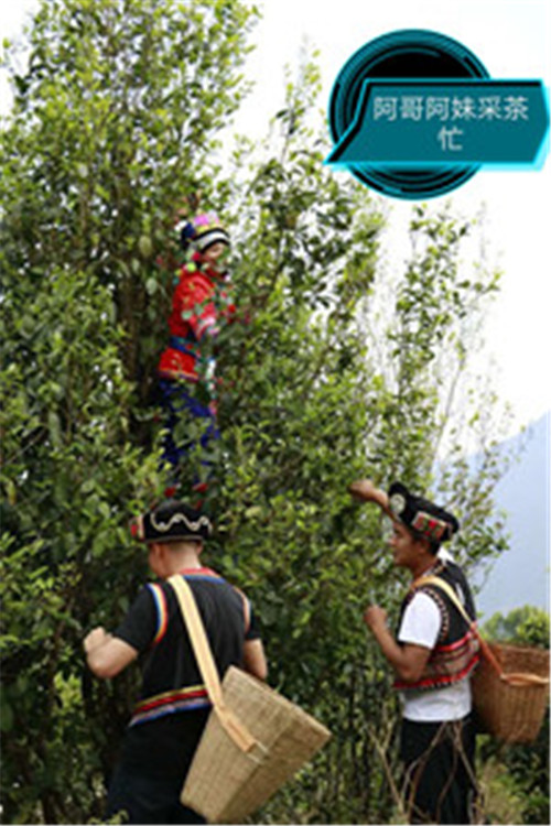 20210113151200890.jpg 微信圖片_20210111113516.jpg