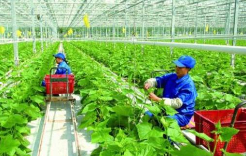 黑龍江省出臺政策支持重點群體創業就業