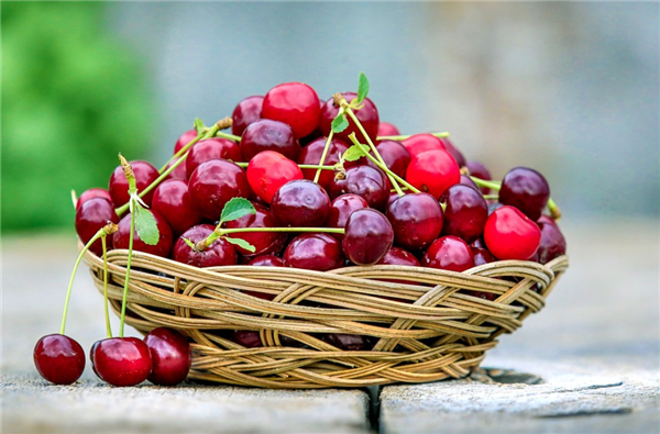 吳尊友回應車厘子等進口水果怎么吃：注意手衛生、吃前流水清洗