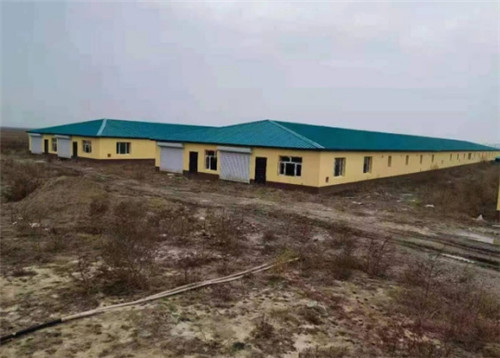 中北斗成立紅山草豬生態產業園