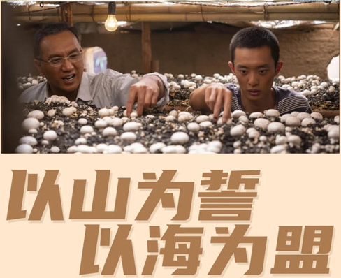 9.4分的扶貧劇《山海情》火了，憑什么？