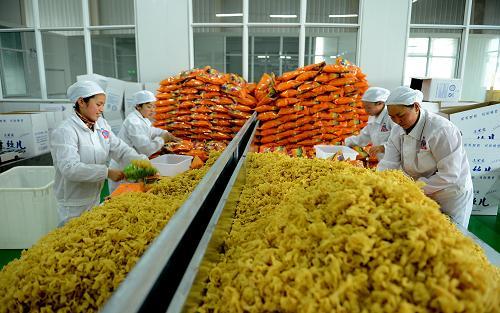 我國農產品出口持續保持活躍 呈現出穩健增長態勢
