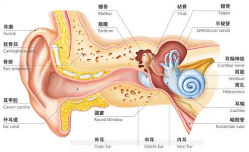 【德州市中醫院耳鼻喉科】冬季耳鼻喉健康攻略！