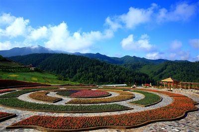 鄉村旅游“燃”動：縣域訂單年輕化 旅居創業共繪鄉村新景