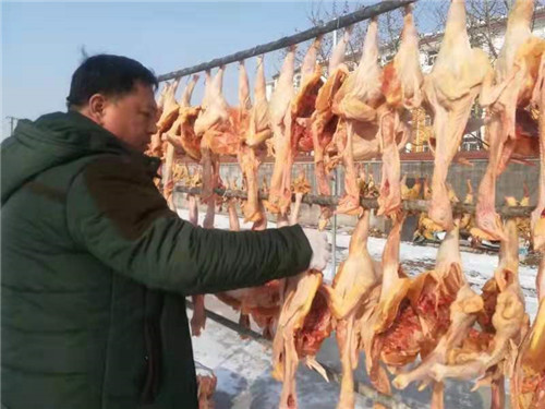 青島萊西市農民傅曉雷：把“生態雞”養成產業鏈